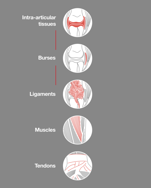 mypod-laser-target Targets for laser treatment